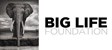 Big Life Foundation (UK)