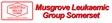 Musgrove Leukaemic Group Somerset