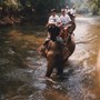 Elephant Riding, Chiang Mai, 1990