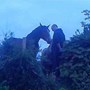he was the horse whisperer, such a natural