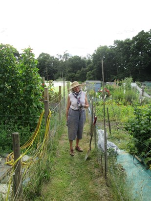 June 2020 at the allotments