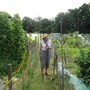 June 2020 at the allotments