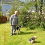 Fort William June Albert & the dogs Tommy and Flo
