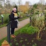 In the Oxford Botanic Garden - January 2020