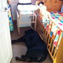 Akillees sleeping in his little brothers room x