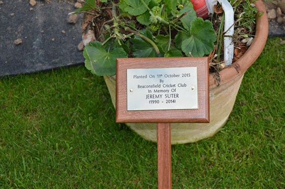 The Plaque for the Weeping cherry planted in Jeremy's memory