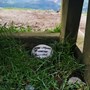 Loving memory Pebble placed under the bench on Latrigg