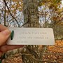 Dedicated Tree label - Heart of England Forest