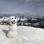 A snowman we built atop Liberty Bell