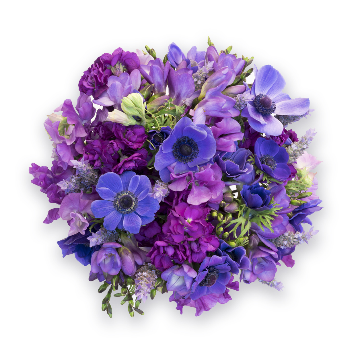 ANEMONE POSY - sent on August 31st, 2022